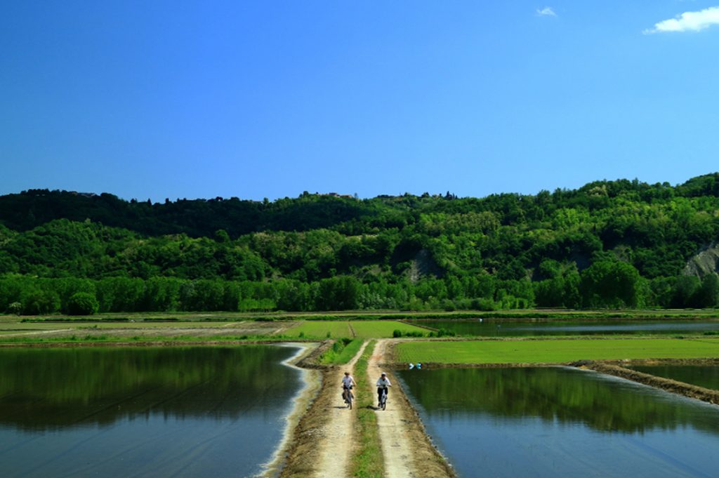 Foresta Condivisa Parco Po1