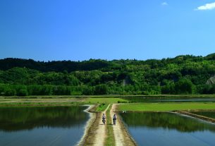 Piantare alberi contro il cambiamento climatico: il sogno della Foresta condivisa del Po piemontese