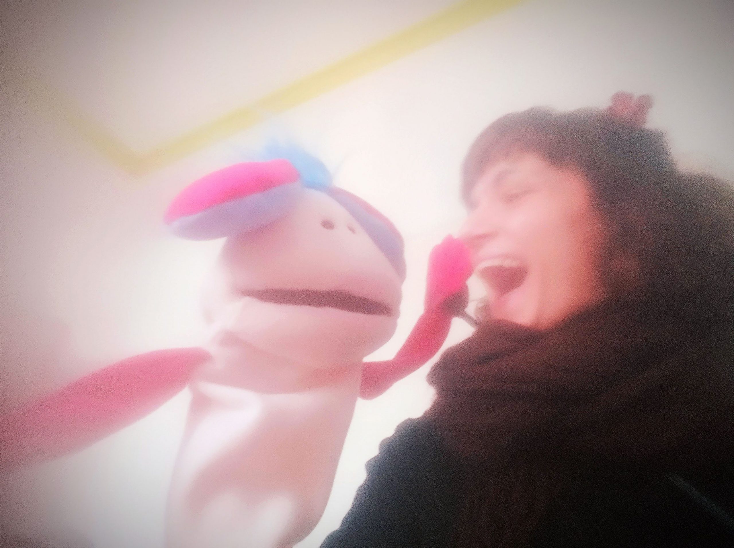 Cerco una d’amor dimora