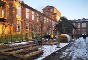 A Torino studenti e docenti rigenerano spazi abbandonati della città con gli orti in cassoni