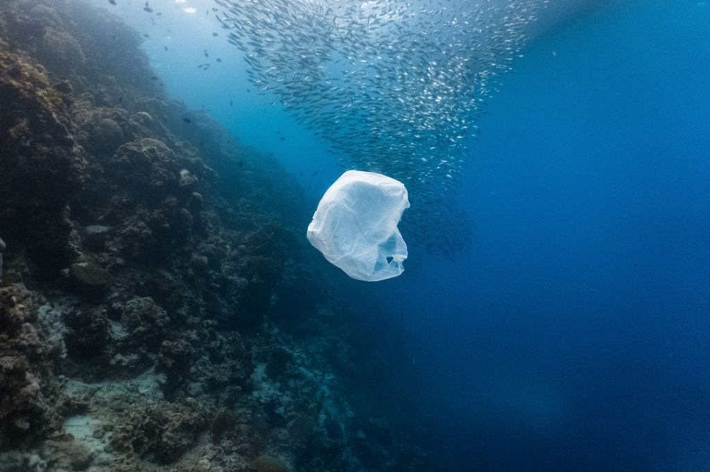 inquinamento degli oceani 2