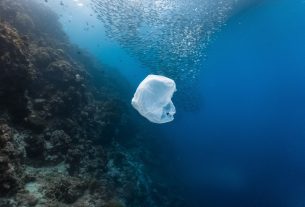 L’inquinamento degli oceani sarà quattro volte maggiore entro il 2050