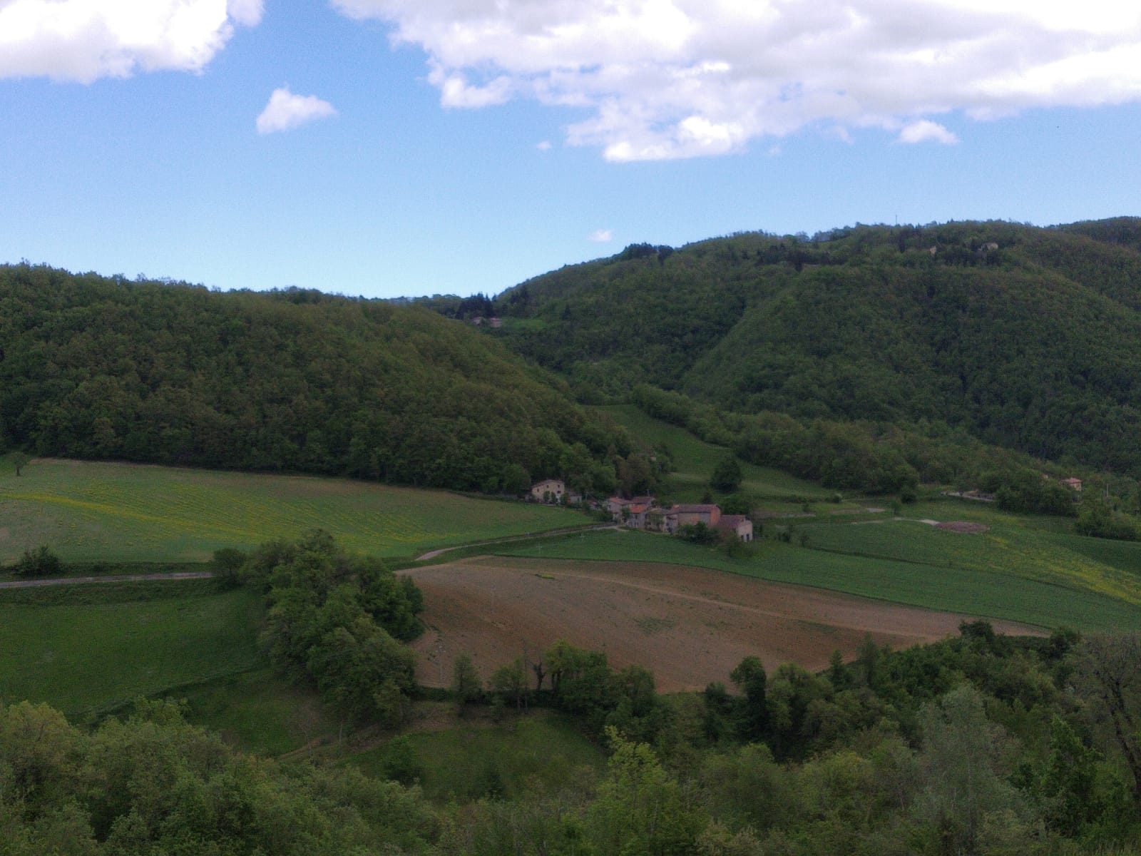 Affitto stanze sulle colline bolognesi