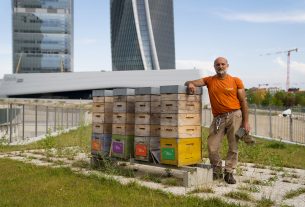 L’apicoltura in azienda che offre accoglienza e lavoro a cittadini stranieri