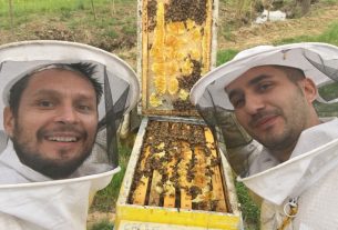 “Hanno avvelenato le nostre api, aiutateci”. L’appello degli apicoltori Idlir e Nertil