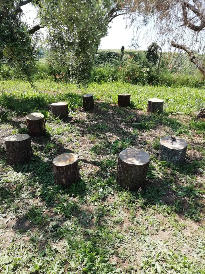 Terra libera tutti5