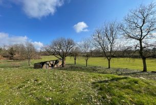 Cerco collaboratore per azienda agricola