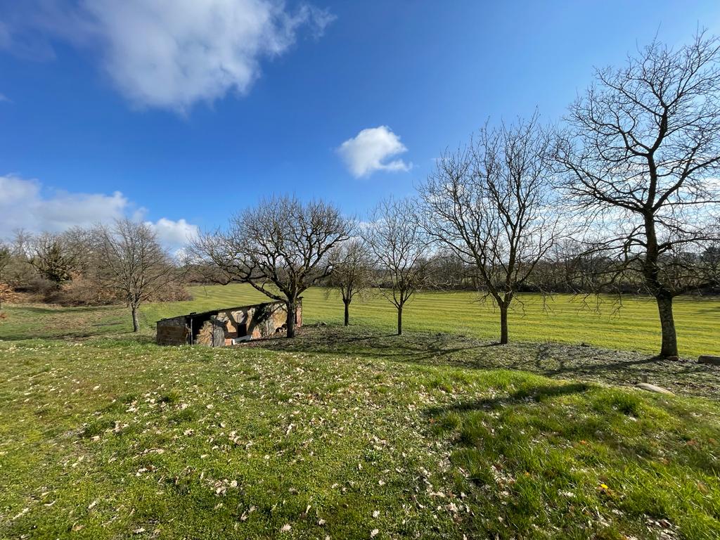 Cerco collaboratore per azienda agricola