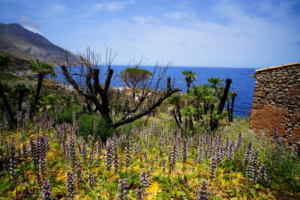 crisi climatica sicilia 2