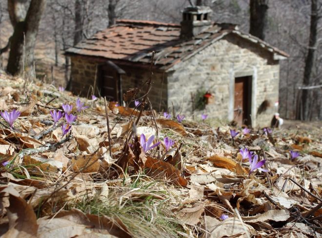 Prendersi cura della montagna: nasce la Cooperativa di Comunità Pratomagno