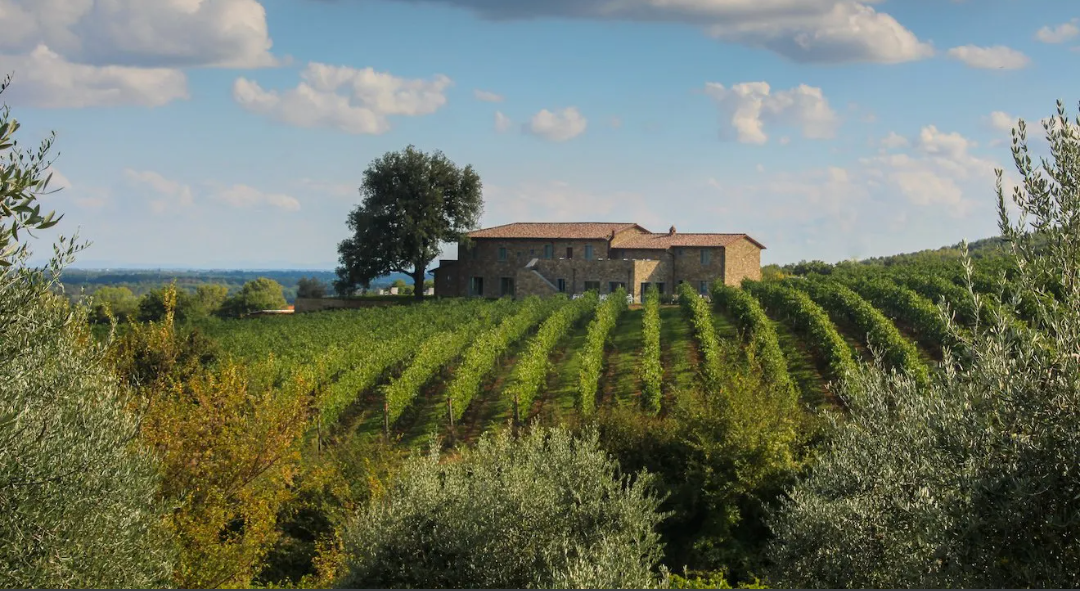 Cerco soci per agriturismo