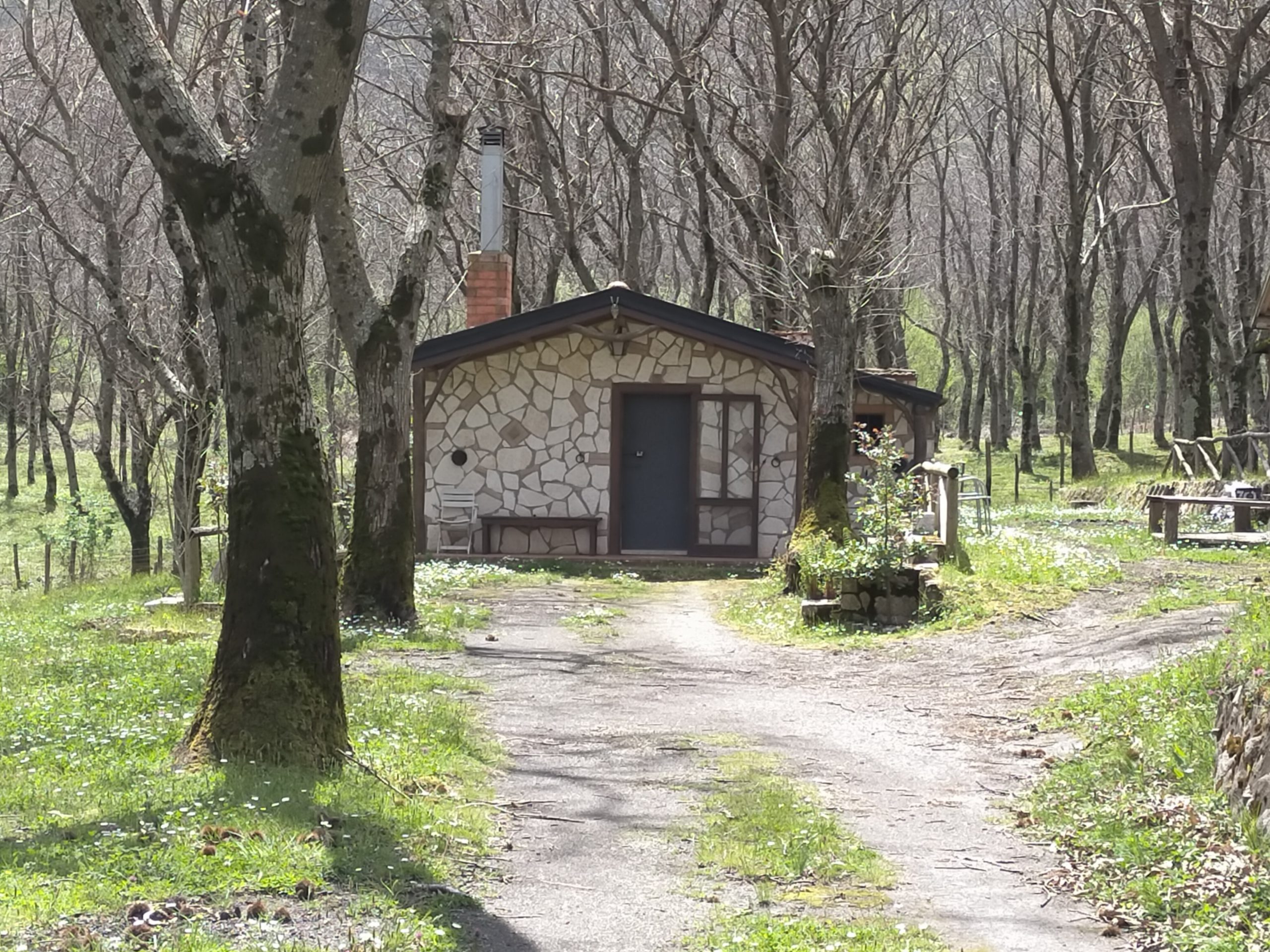 Offro La Casa Nel Bosco