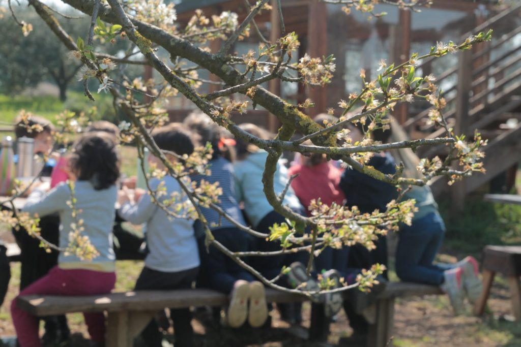 Il Giardino di Torricola5