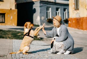 Pet Therapy: un convegno ad Albenga per raccontare benefici e possibili rischi