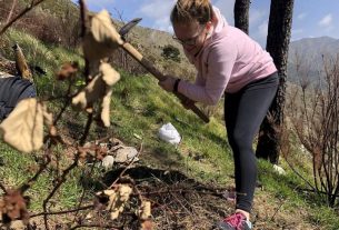Sul monte Moro si riprende a piantumare: A Thousand Trees Project cerca volontari