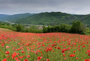 Torna il Sarvego Festival per portare la letteratura per l’infanzia tra i boschi della val Borbera