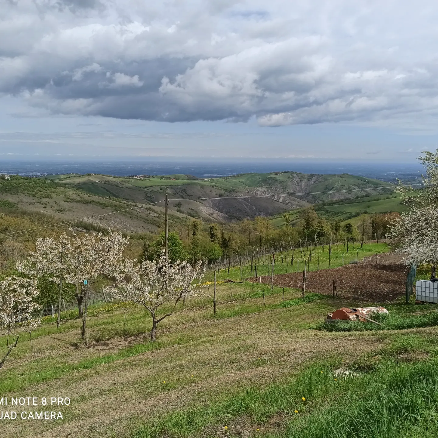 Cerco team per progetto enogastronomico e agroecologico