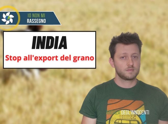 L’India vieta l’esportazione di grano – #522