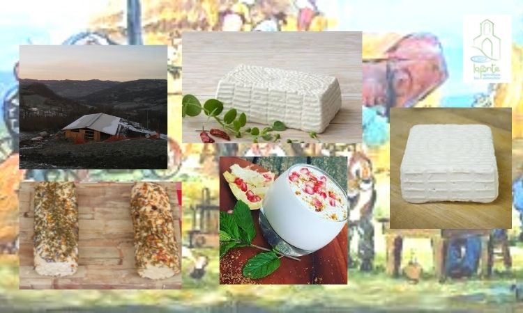 Offro Entra nel Team Fattoria La Fonte -caseificio-