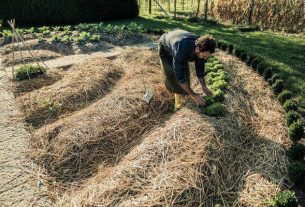 Cerco collaboratori per fattoria auto-sostenibile