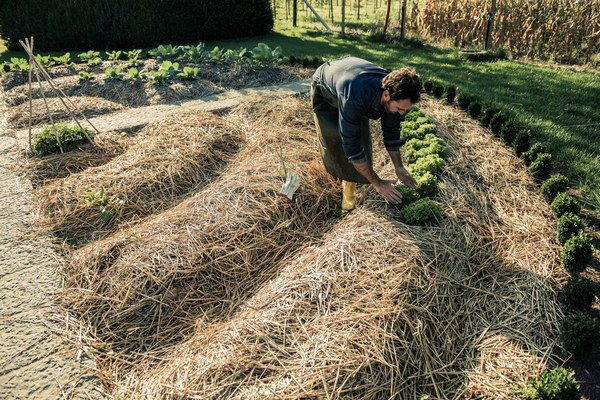 Cerco collaboratori per fattoria auto-sostenibile