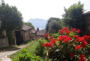 Adotta una fioriera: il borgo di Volpara rinasce grazie all’iniziativa dei residenti