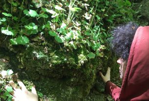 Bagni di foresta nella Basilicata selvaggia: vi raccontiamo la nostra esperienza