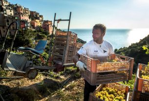 I vini “eroici” della Liguria:  La Polenza racconta la vita in vigna