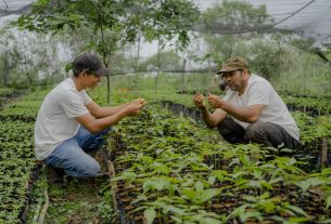 ZeroCO2: “Piantiamo alberi per difendere le comunità locali e la biodiversità”