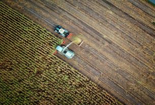 Agroecologia e agrobusiness: in che direzione stiamo andando?