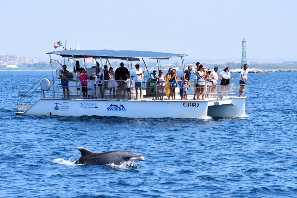 Jonian Dolphin Conservation 3