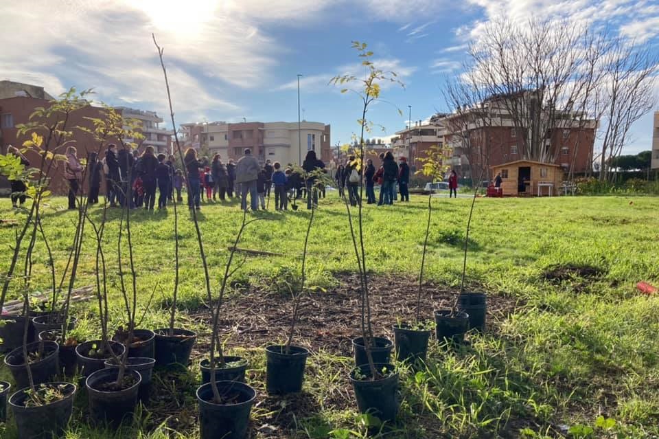 alberi in periferia2