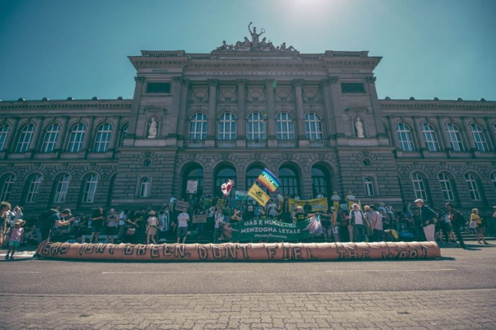 fridays for future italia