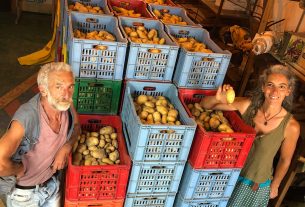 Offro patate dalle co-produzioni minimali al Giardino delle Bio-Diversità