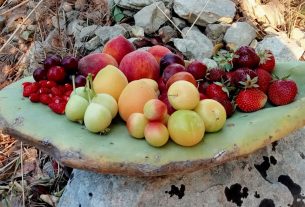 Radice Sicula: così GianLuca recupera piante da frutto antiche e dimenticate
