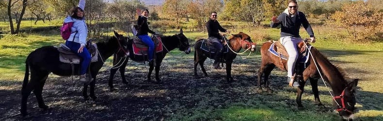 Etna Donkey Trekking