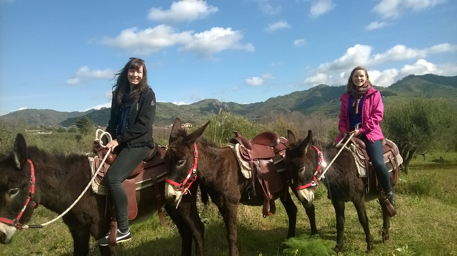 etna donkey1