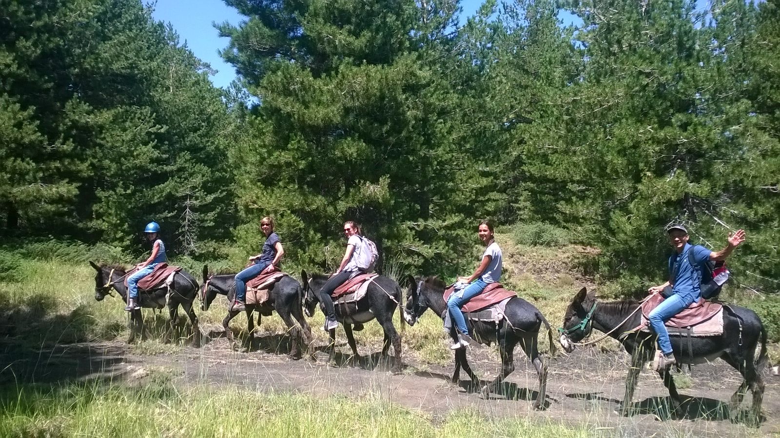 etna donkey3