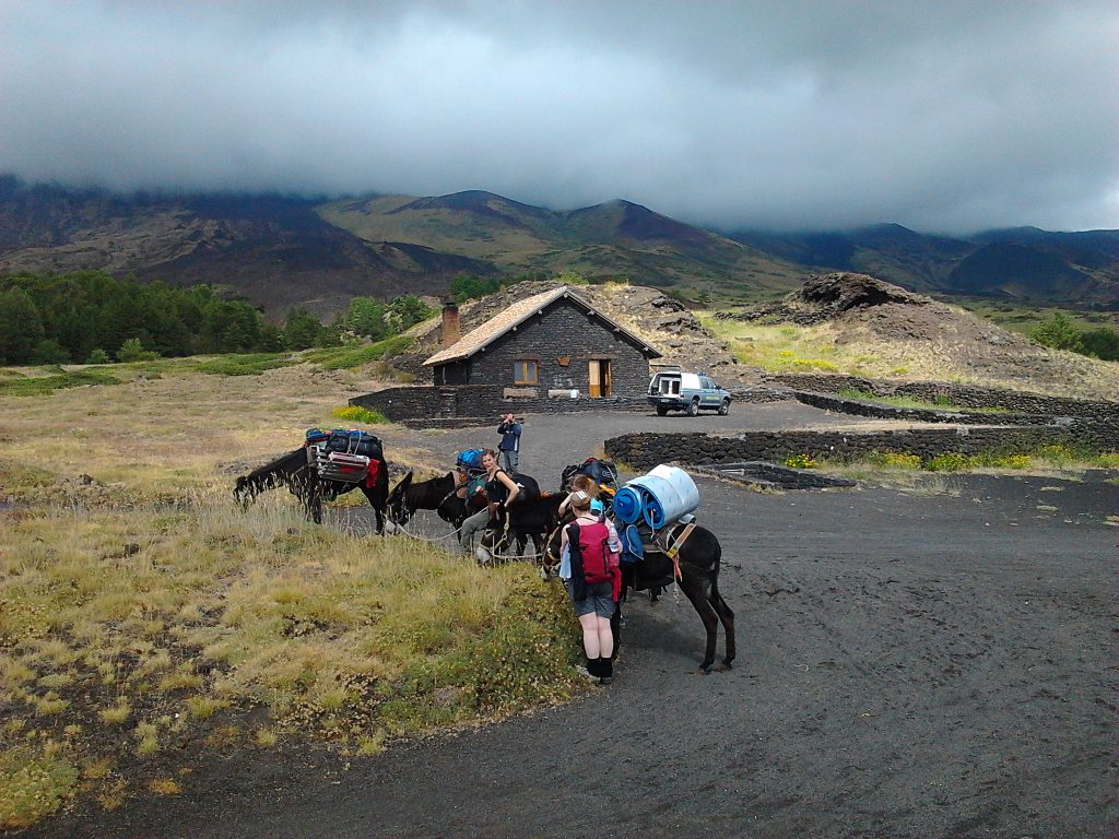 etna donkey4