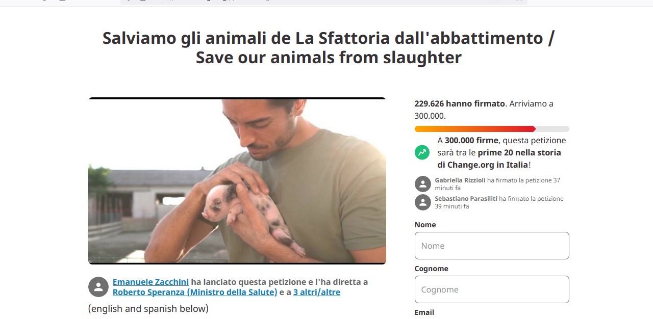 Cerco divulgatori per salvare le inermi creature della “sfattoria”