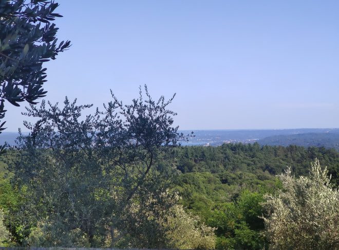 IMG 20220716 172940