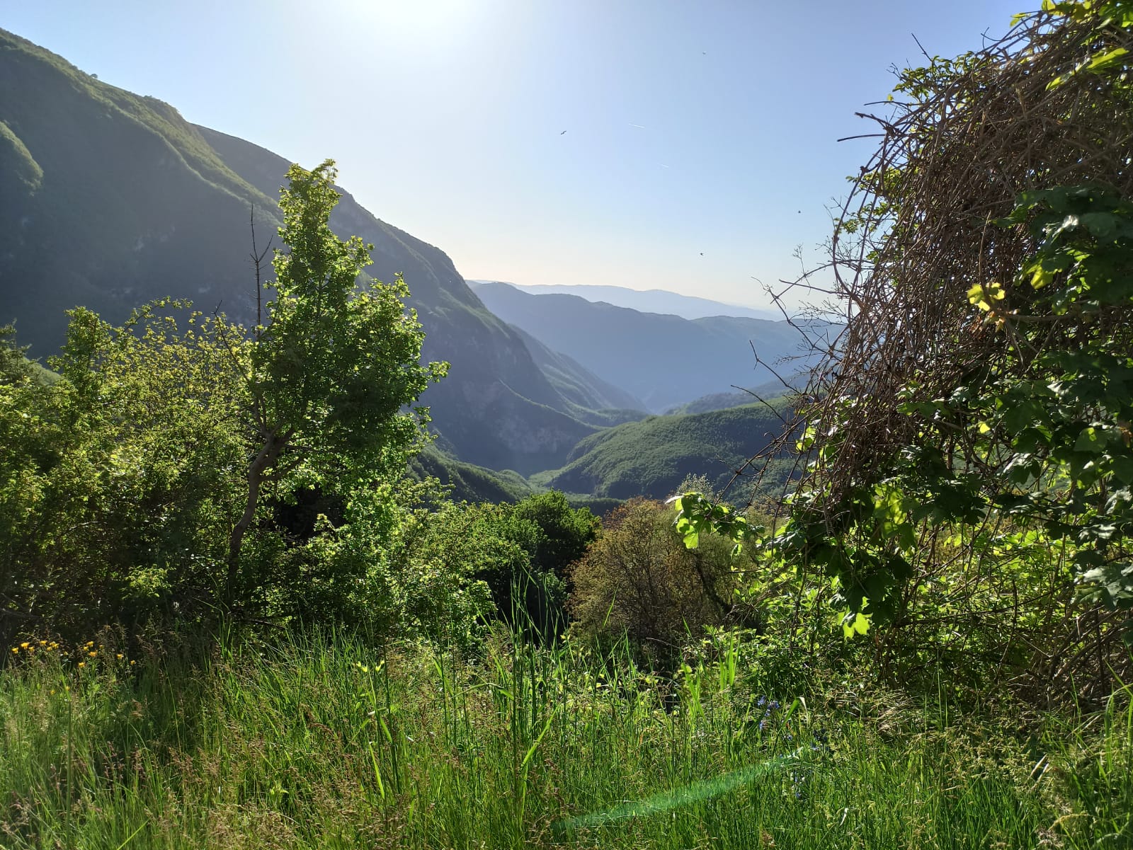 Cerco casale e terreno in umbria