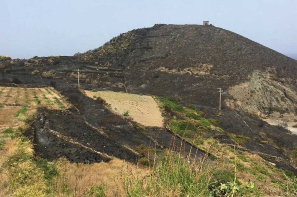 incendi sicilia