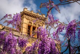 Terradamare, la cooperativa turistica che racconta Palermo attraverso luoghi e persone