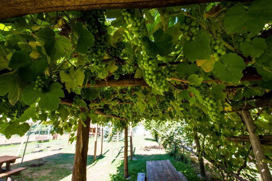 Cascina Veja4 1