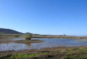 Geloi Wetland, il paradiso della biodiversità in Sicilia