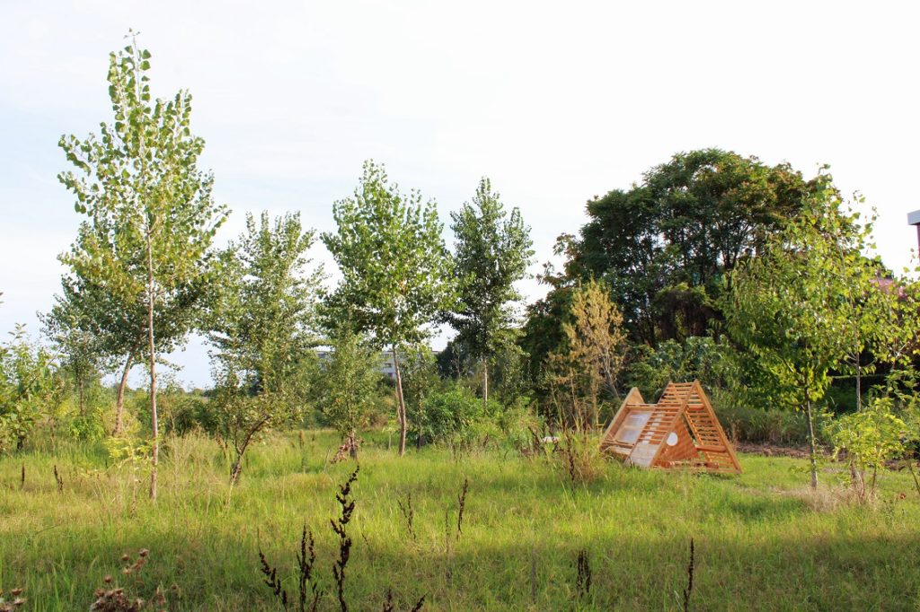 Dispositivo didattico sperimentale immerso nei filari agroforestali