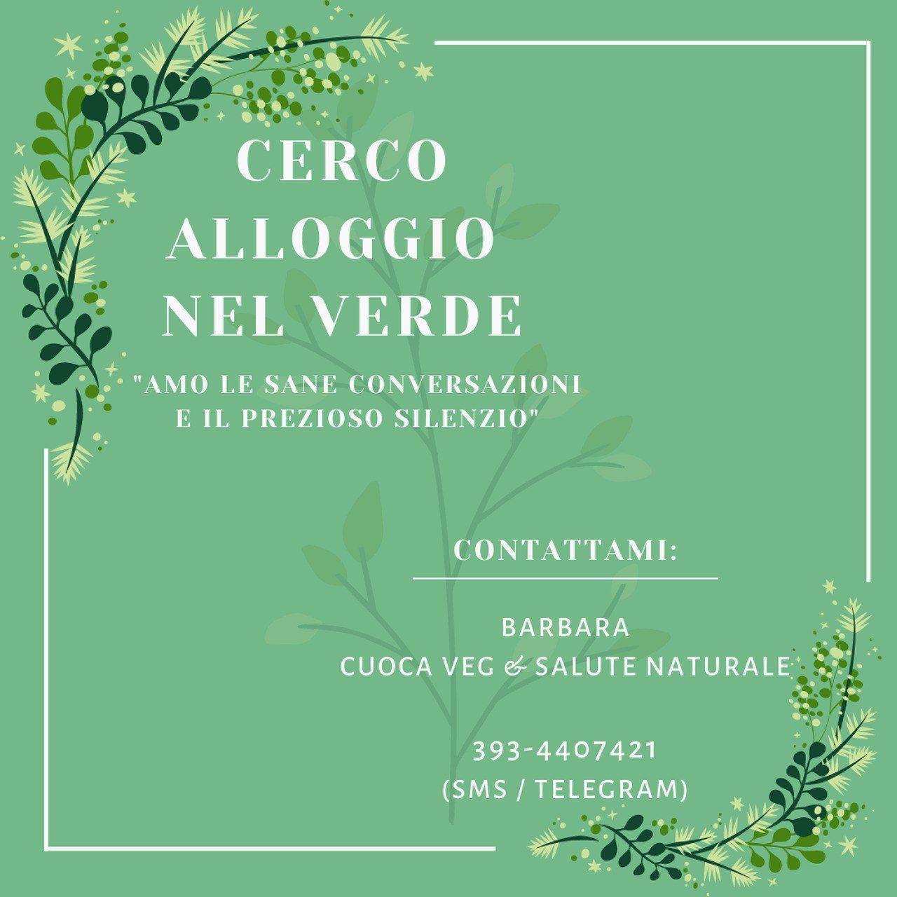 Offro in Alto Veneto e Trentino