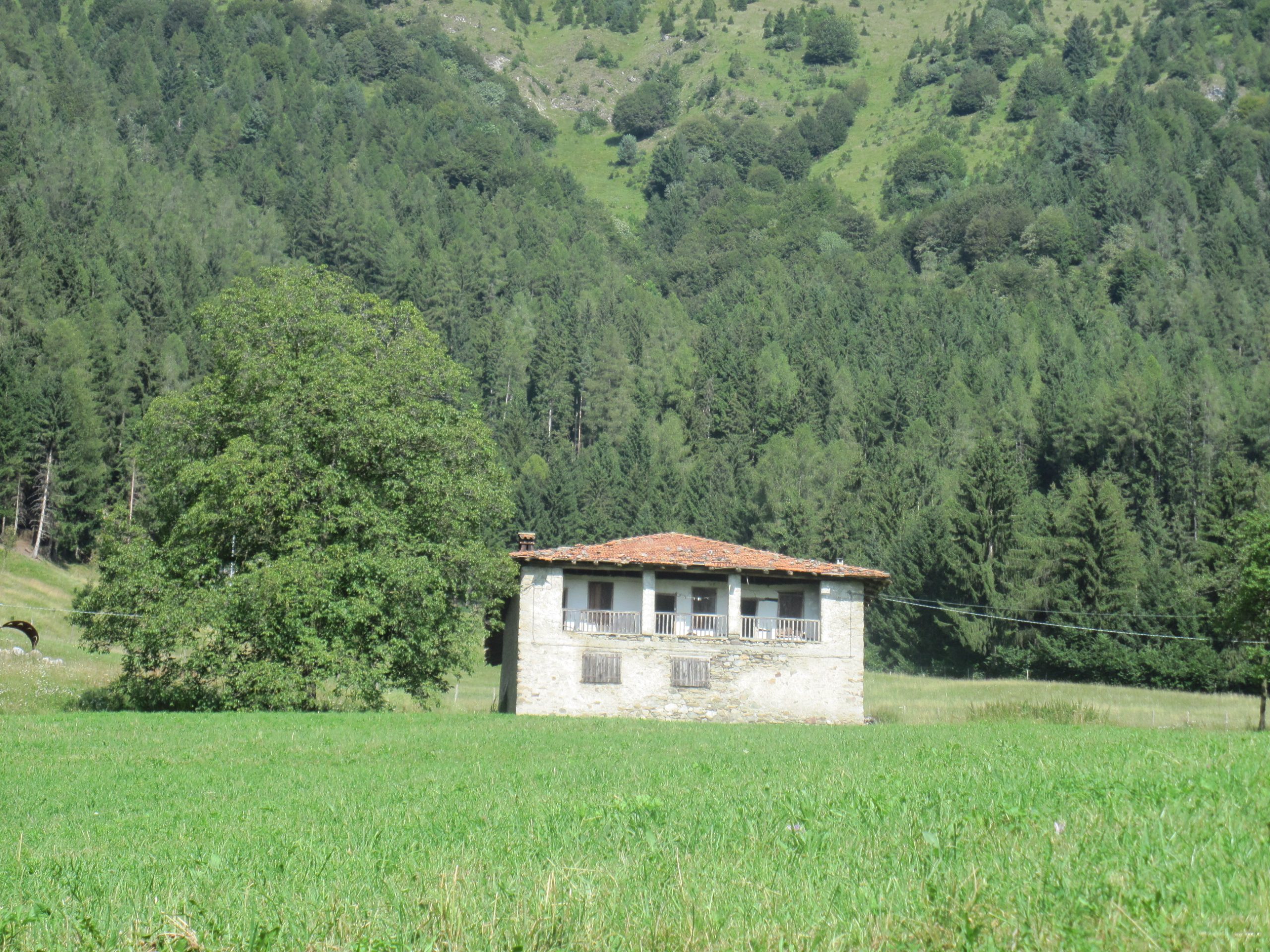 Cerco casa in campagna o montagna in Lombardia o Piemonte
