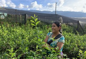 Da Incasa a Choco Panda, la storia della sovranità alimentare che non c’è in Guatemala